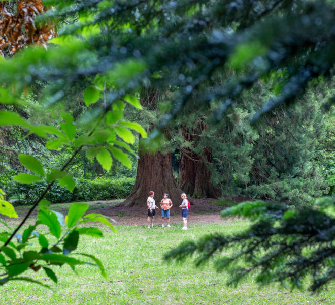 randonnee-arboretum